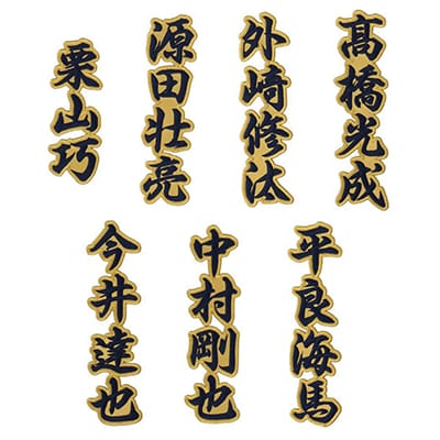 納期注意【西武ライオンズ 刺繍ワッペン 5点セット】【白