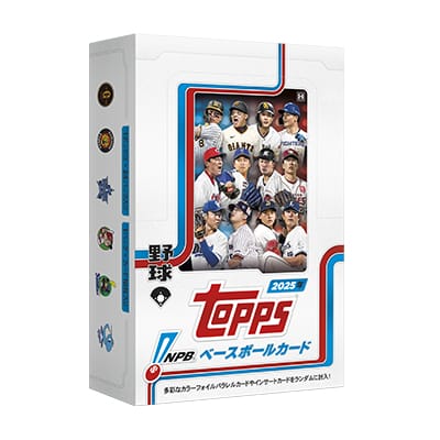 RB7071 埼玉西武ライオンズ DVD 19枚セット