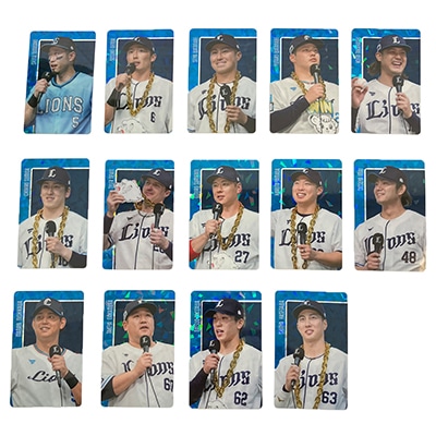 検索結果 | 埼玉西武ライオンズ公式オンラインショップ