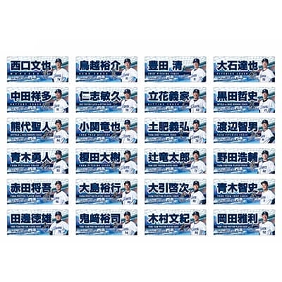 検索結果 | 埼玉西武ライオンズ公式オンラインショップ
