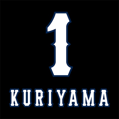 【西武】プレイヤーズきっぷ　2011年版コンプリート 埼玉西武ライオンズ - 埼玉西武ライオンズ プレイヤーズきっぷ カード
